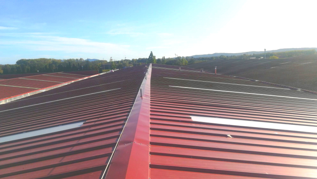 Frutícola Sant Pere Pescador